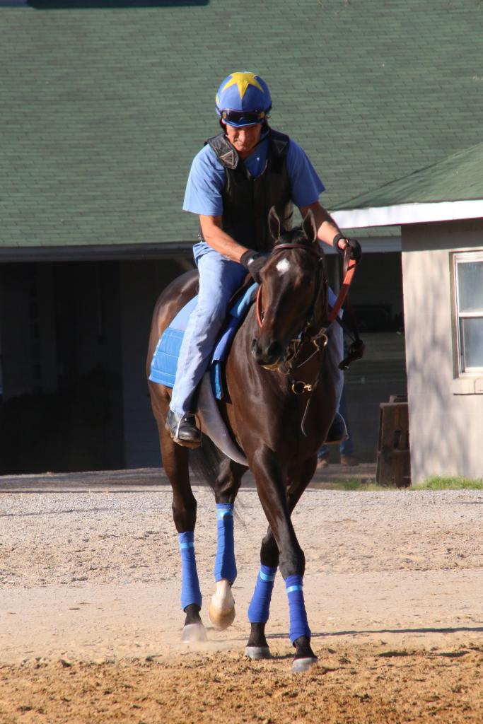 Sanchez and Bobby the Brain enter the track. (Julie June Stewart photo)
